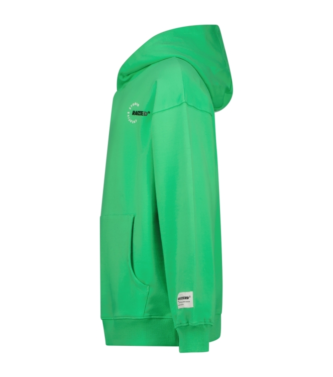 Raizzed truien & vesten 1462 Irish fresh green R125KBN34005