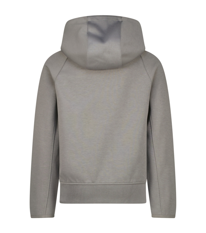 Raizzed truien & vesten 1326 Firm grey R125KBN34802