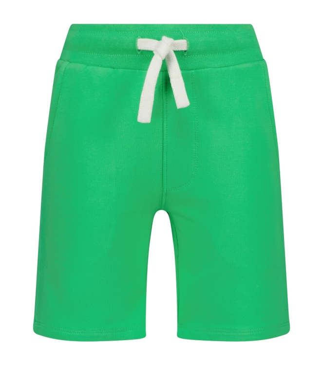 Raizzed broeken 1462 Irish fresh green R125KBN46003