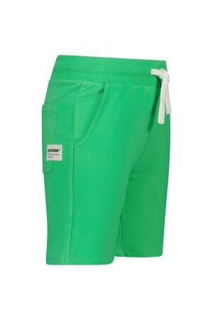Raizzed broeken 1462 Irish fresh green R125KBN46003