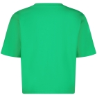 Raizzed shirts 1462 Irish fresh green R125KGN30008