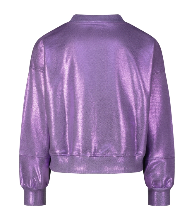Raizzed truien & vesten 859 Wave lilac R125KGN34002