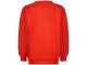Raizzed truien & vesten 603 Flame Red R125KGN34005