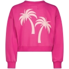 Raizzed truien & vesten 1250 Pink rose R125KGN34006