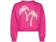 Raizzed truien & vesten 1250 Pink rose R125KGN34006