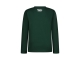 Vingino shirts 1404 Racing green AW24KBN30001