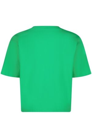 Raizzed shirts 1462 Irish fresh green R125KGN30008