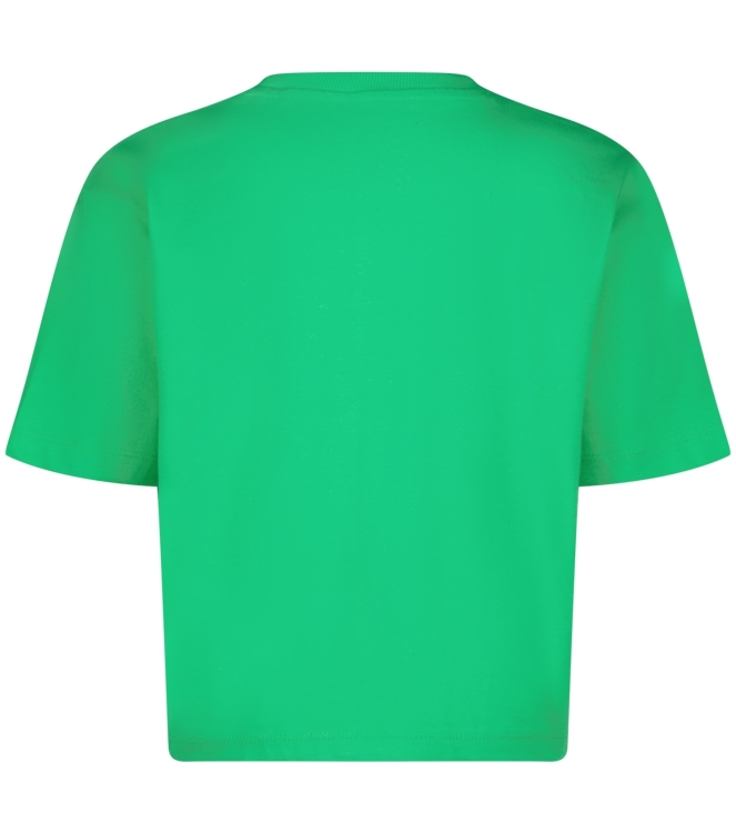 Raizzed shirts 1462 Irish fresh green R125KGN30008