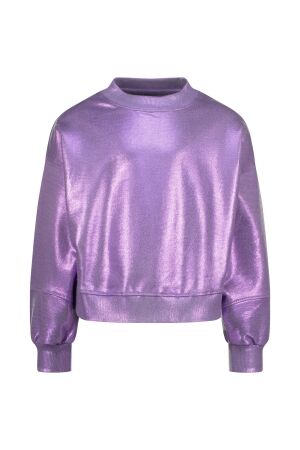 Raizzed Renia Sweater 859 Wave lilac