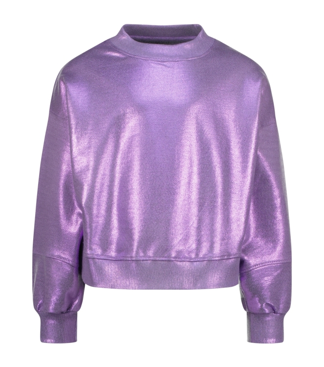 Raizzed truien & vesten 859 Wave lilac R125KGN34002