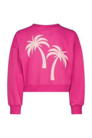 Raizzed truien & vesten 1250 Pink rose R125KGN34006