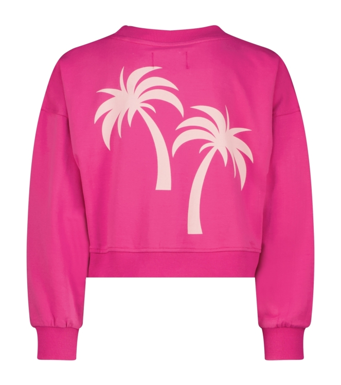 Raizzed truien & vesten 1250 Pink rose R125KGN34006
