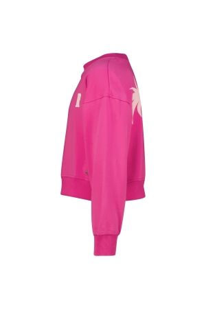 Raizzed truien & vesten 1250 Pink rose R125KGN34006