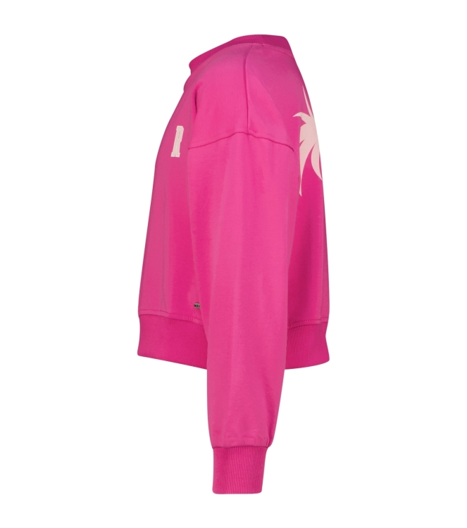 Raizzed truien & vesten 1250 Pink rose R125KGN34006