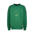 Vingino truien & vesten 1454 Cactus green SS25KBN34001