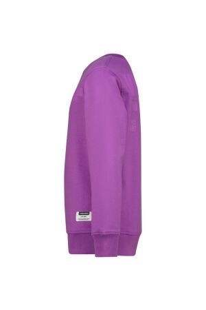 Vingino truien & vesten 858 True purple SS25KBN34007