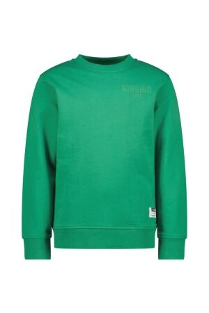 Vingino Basic-crew Sweater 1454 Cactus green