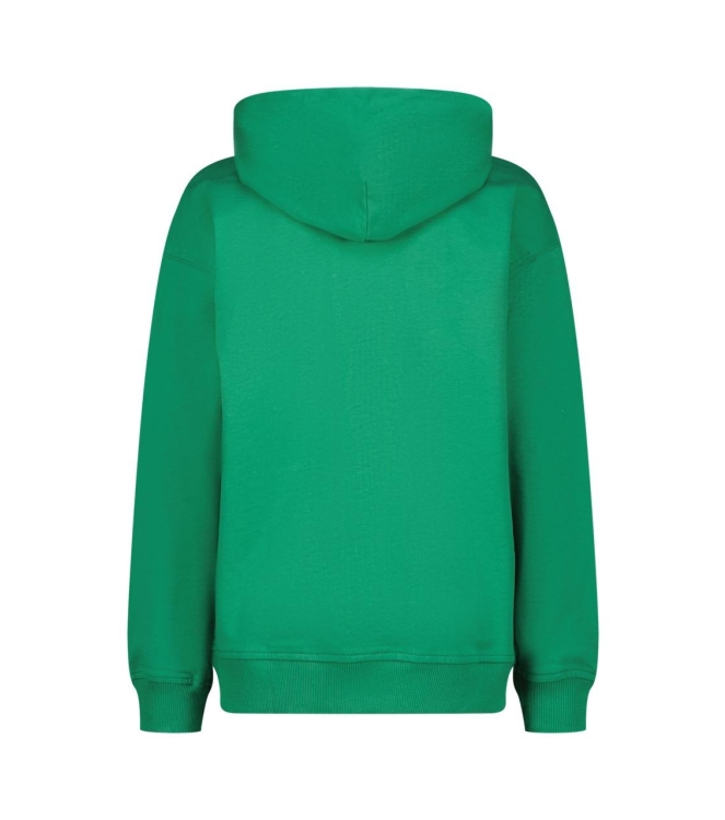 Vingino truien & vesten 1454 Cactus green SS25KBN34008