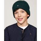 Tommy Hilfiger winteraccessoires L6K Ornamental Green AU0AU01526