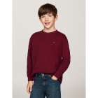 Tommy Hilfiger shirts VLP Deep Rouge KB0KB08576