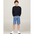 Tommy Hilfiger shirts DW5 Desert Sky KB0KB08576