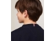 Tommy Hilfiger shirts DW5 Desert Sky KB0KB08576