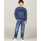 Tommy Hilfiger truien & vesten DBZ Aegean Sea KB0KB09119