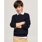 Tommy Hilfiger truien & vesten DW5 Desert Sky KB0KB09418