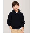 Tommy Hilfiger truien & vesten DW5 Desert Sky KB0KB09419