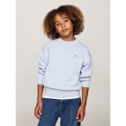 Tommy Hilfiger truien & vesten C1O Breezy Blue KB0KB09466