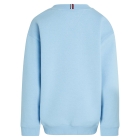 Tommy Hilfiger truien & vesten C1Z Vessel Blue KS0KS00448