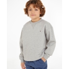 Tommy Hilfiger truien & vesten P1A Light Grey Heather KS0KS00448