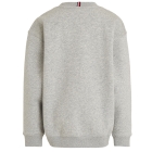 Tommy Hilfiger truien & vesten P1A Light Grey Heather KS0KS00448