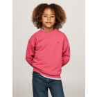 Tommy Hilfiger truien & vesten XI0 Heritage Pink KS0KS00534