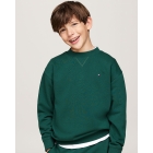 Tommy Hilfiger truien & vesten L6K Ornamental Green KS0KS00534