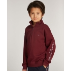 Tommy Hilfiger truien & vesten VLP Deep Rouge KS0KS00577