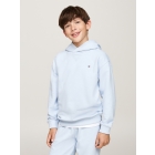 Tommy Hilfiger truien & vesten C1O Breezy Blue KS0KS00579
