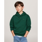 Tommy Hilfiger truien & vesten L6K Ornamental Green KS0KS00579
