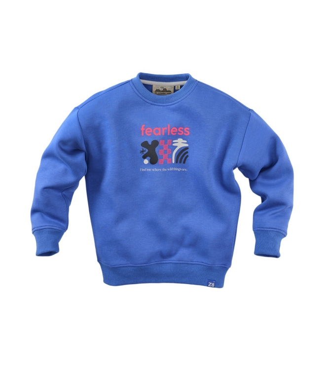 Z8 truien & vesten Dazzling blue Alwin