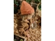 Z8 winteraccessoires Autumn rust Crupet