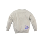 Z8 truien & vesten Silver shadow Filip