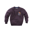 Z8 truien & vesten Blueberry muffin Sylvan