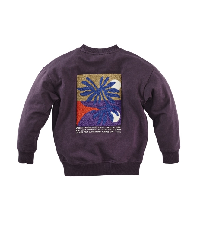 Z8 truien & vesten Blueberry muffin Sylvan
