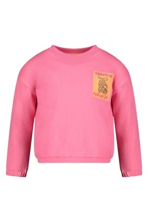 Jubel Sweater - Samba Shake Roze