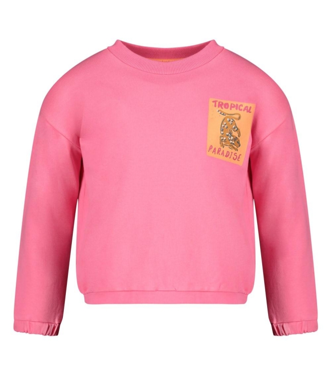 Jubel truien & vesten Roze 91600420