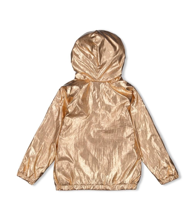 Jubel blazers & gilets Goud 91800049