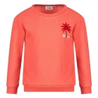Sturdy truien & vesten Koraal 71600605