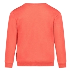 Sturdy truien & vesten Koraal 71600605