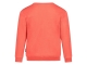 Sturdy truien & vesten Koraal 71600605