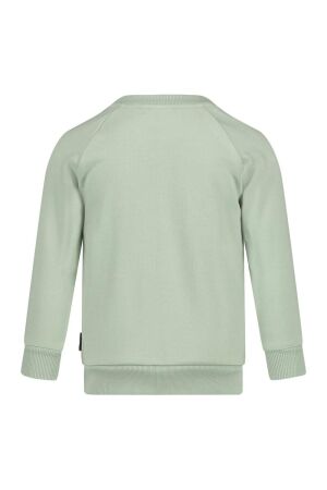 Sturdy truien & vesten Mint 71600604